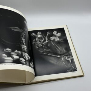 STILL LIFES - 画像 (3)