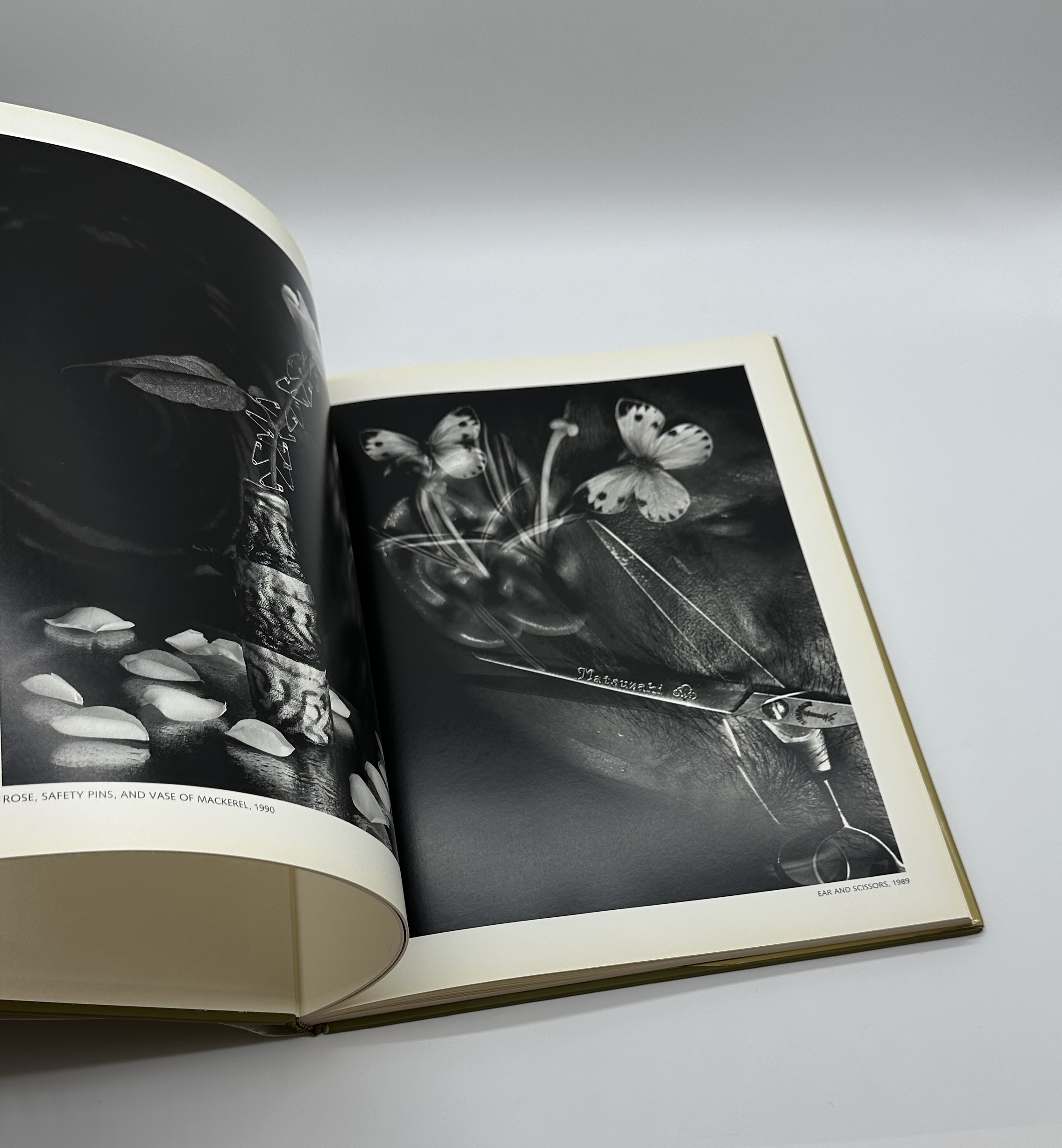 STILL LIFES - 画像 (3)