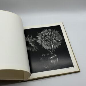 STILL LIFES - 画像 (2)