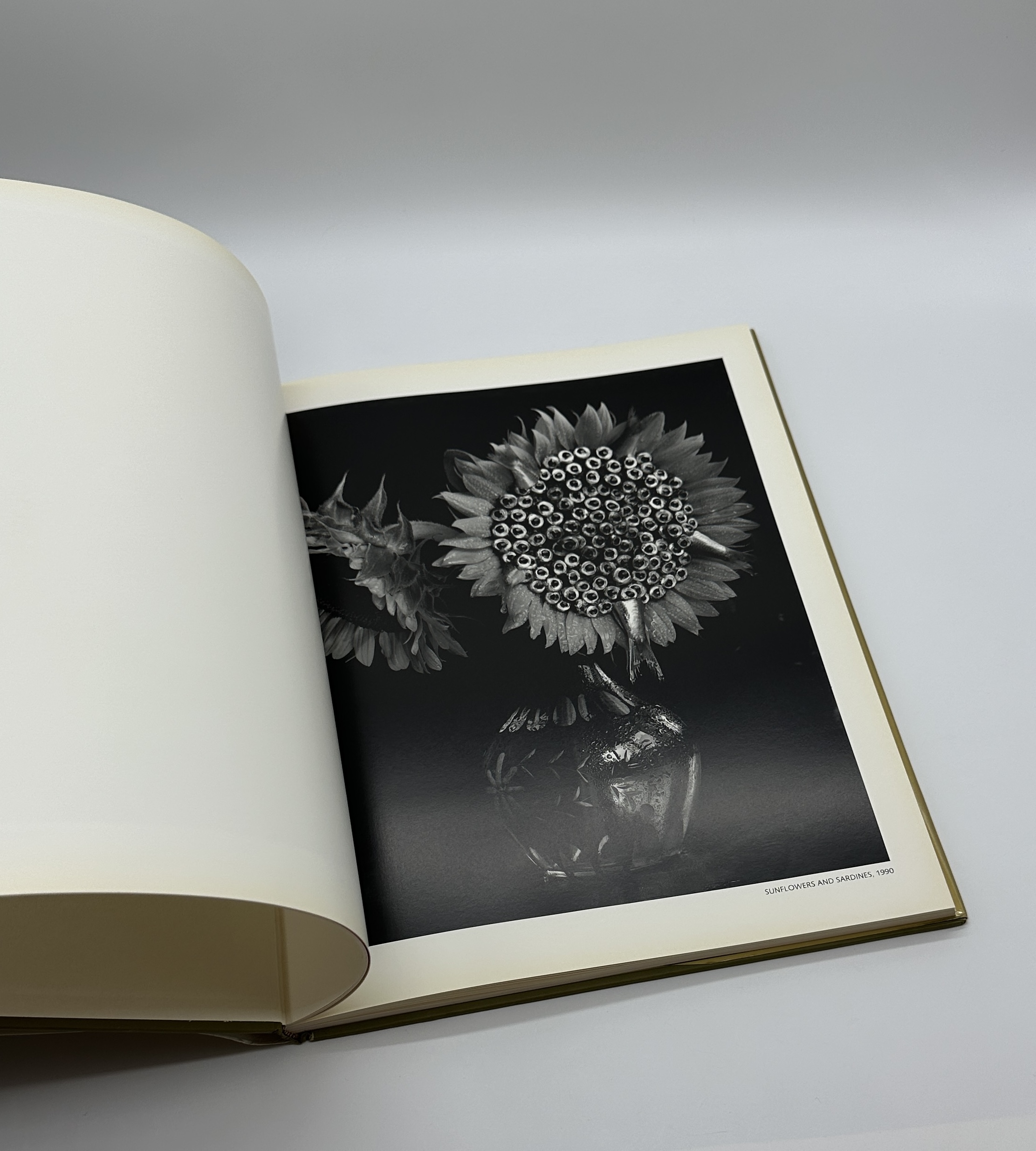 STILL LIFES - 画像 (2)