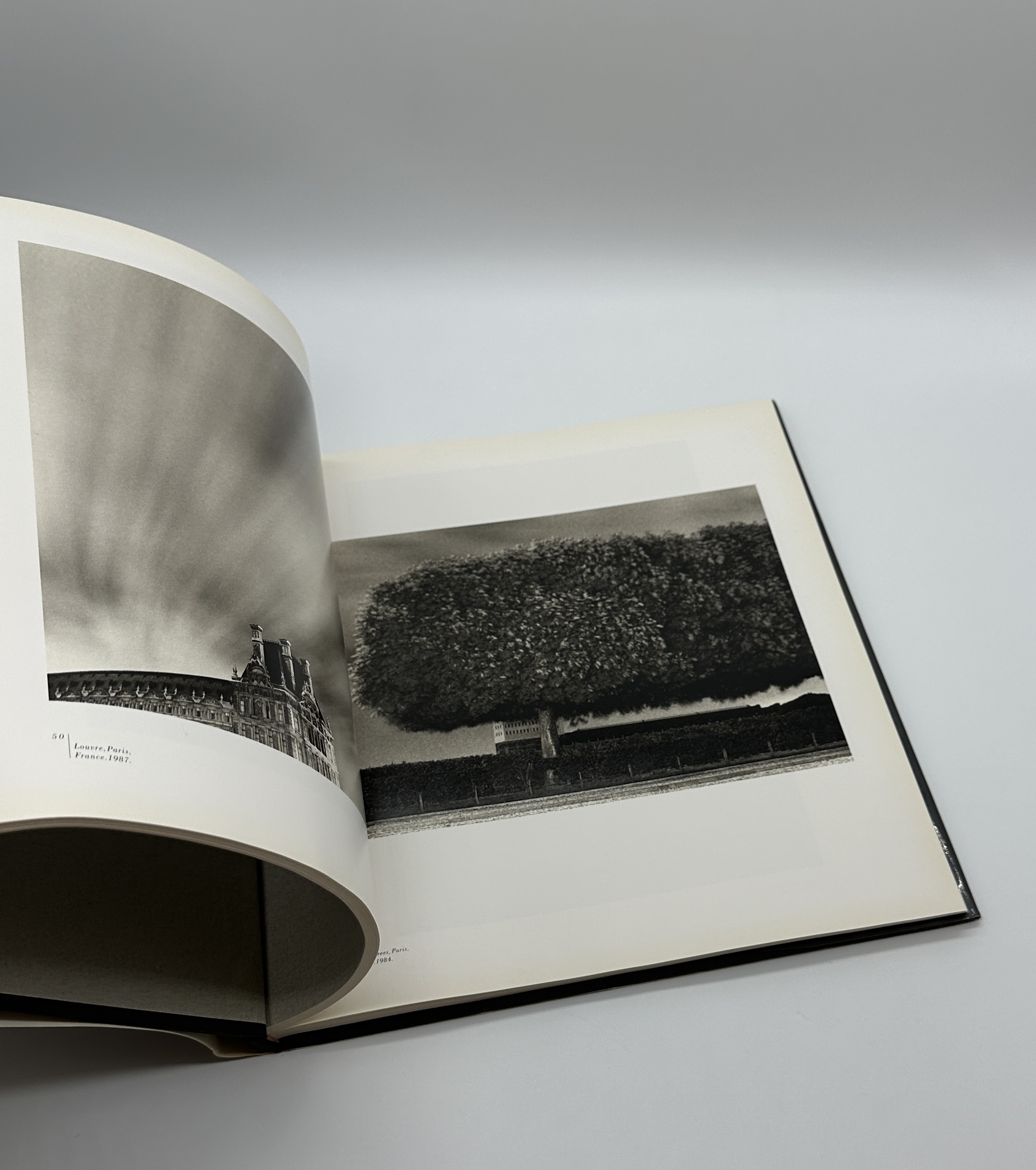 A TWENTY YEAR RETROSPECTIVE - 画像 (7)