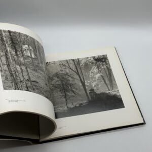 A TWENTY YEAR RETROSPECTIVE - 画像 (6)