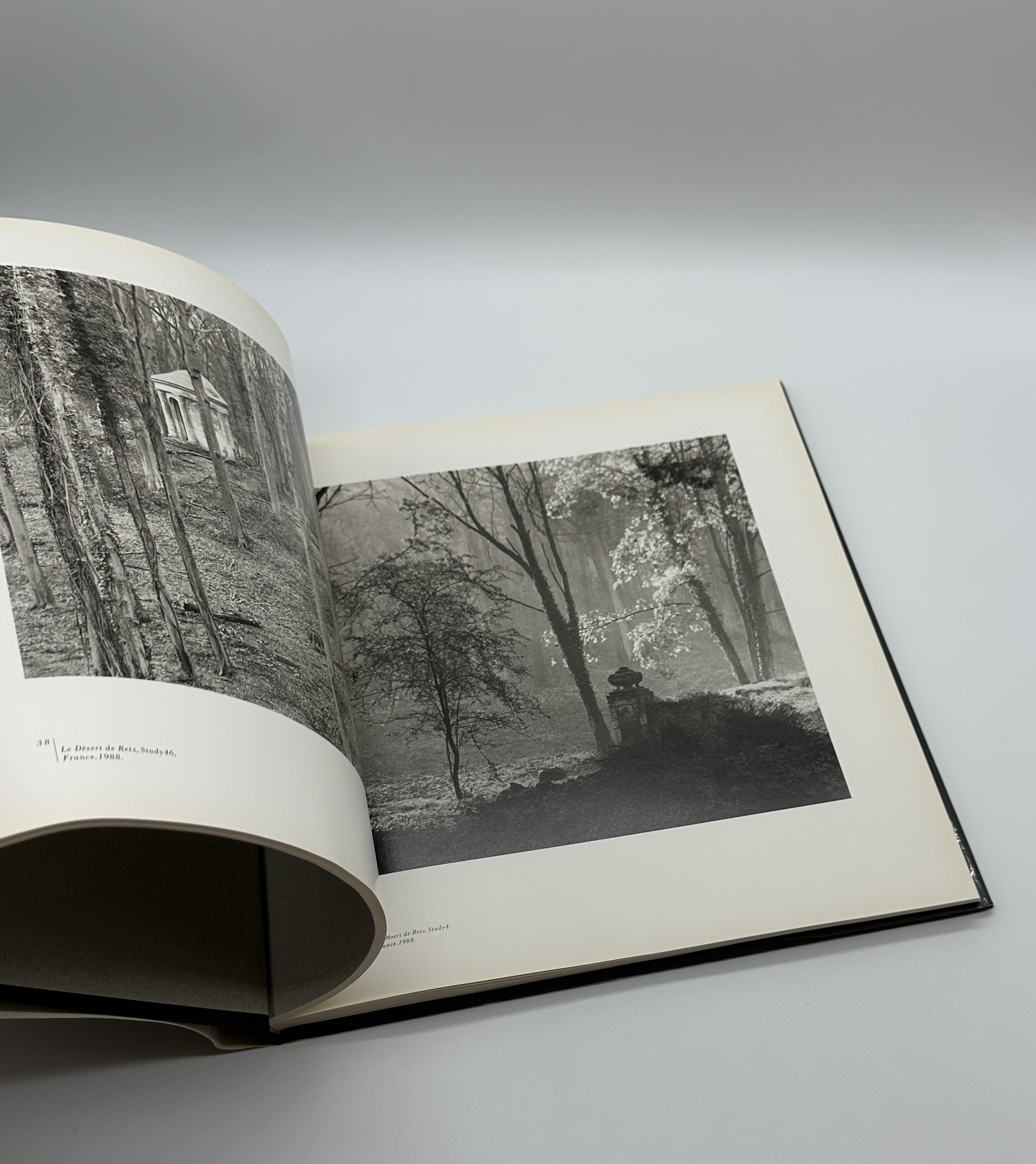 A TWENTY YEAR RETROSPECTIVE - 画像 (6)