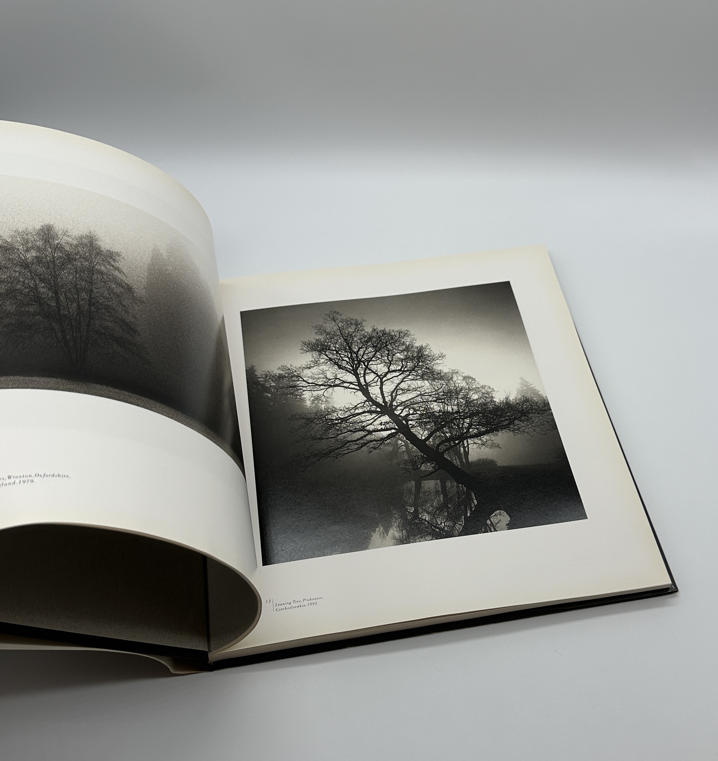 A TWENTY YEAR RETROSPECTIVE - 画像 (3)