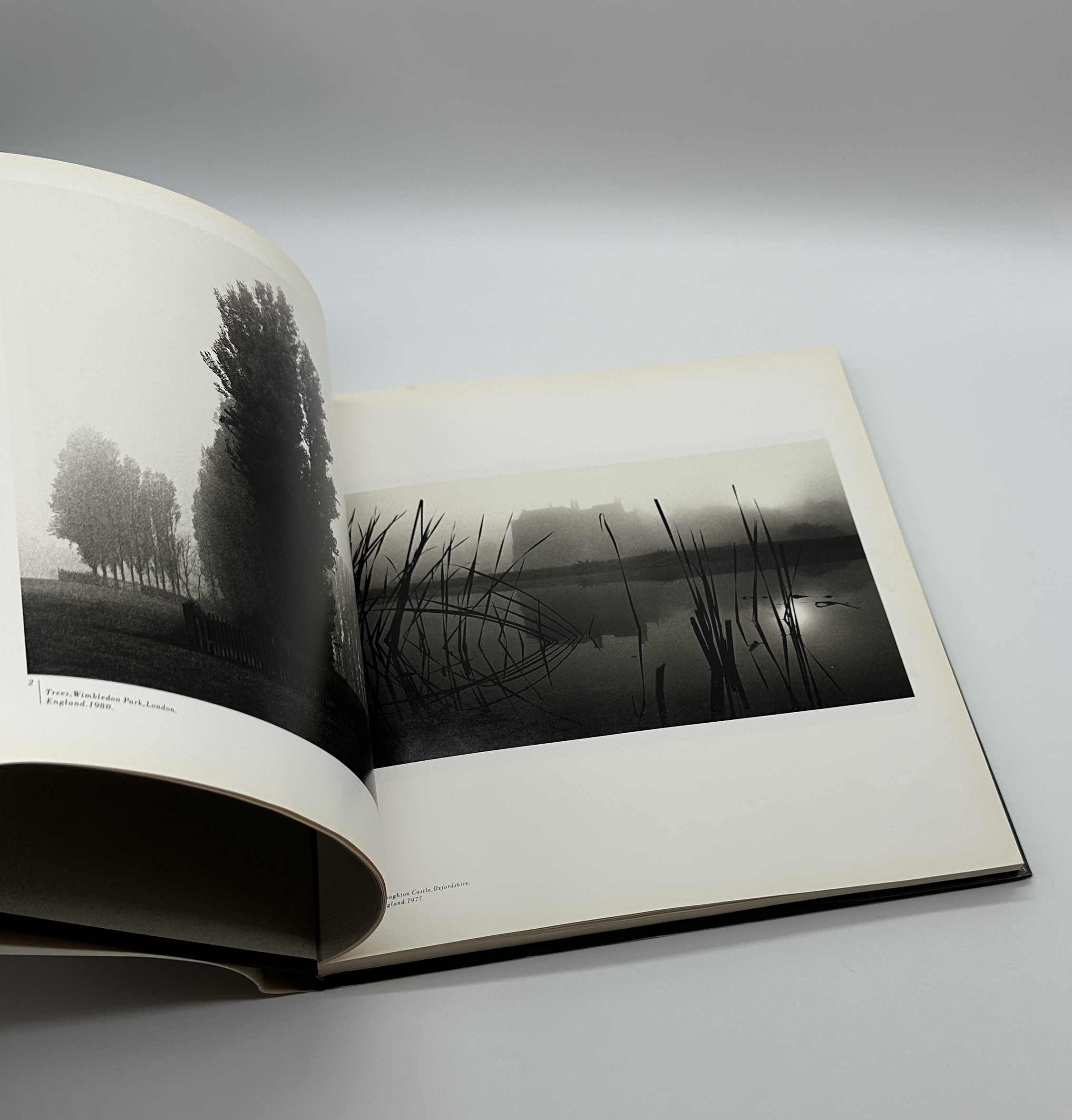 A TWENTY YEAR RETROSPECTIVE - 画像 (2)