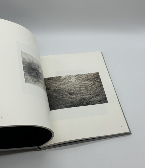 小さきもの、沈黙の中で