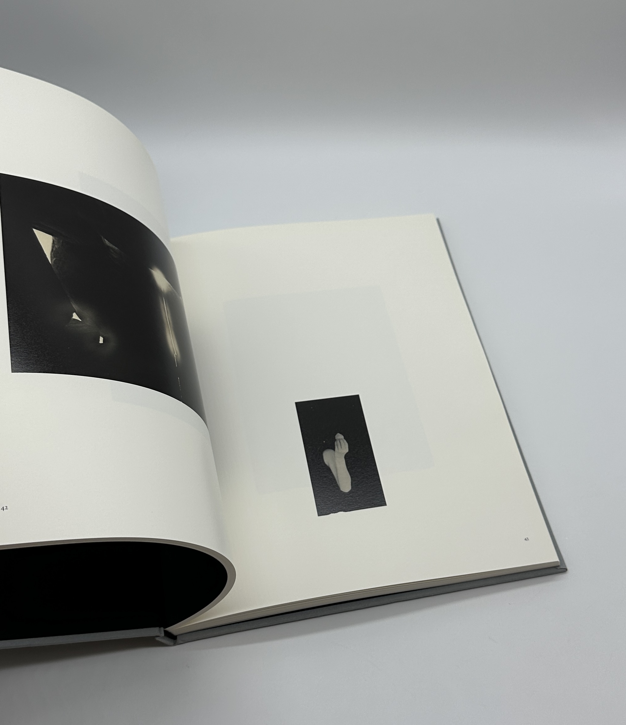 小さきもの、沈黙の中で - 画像 (7)