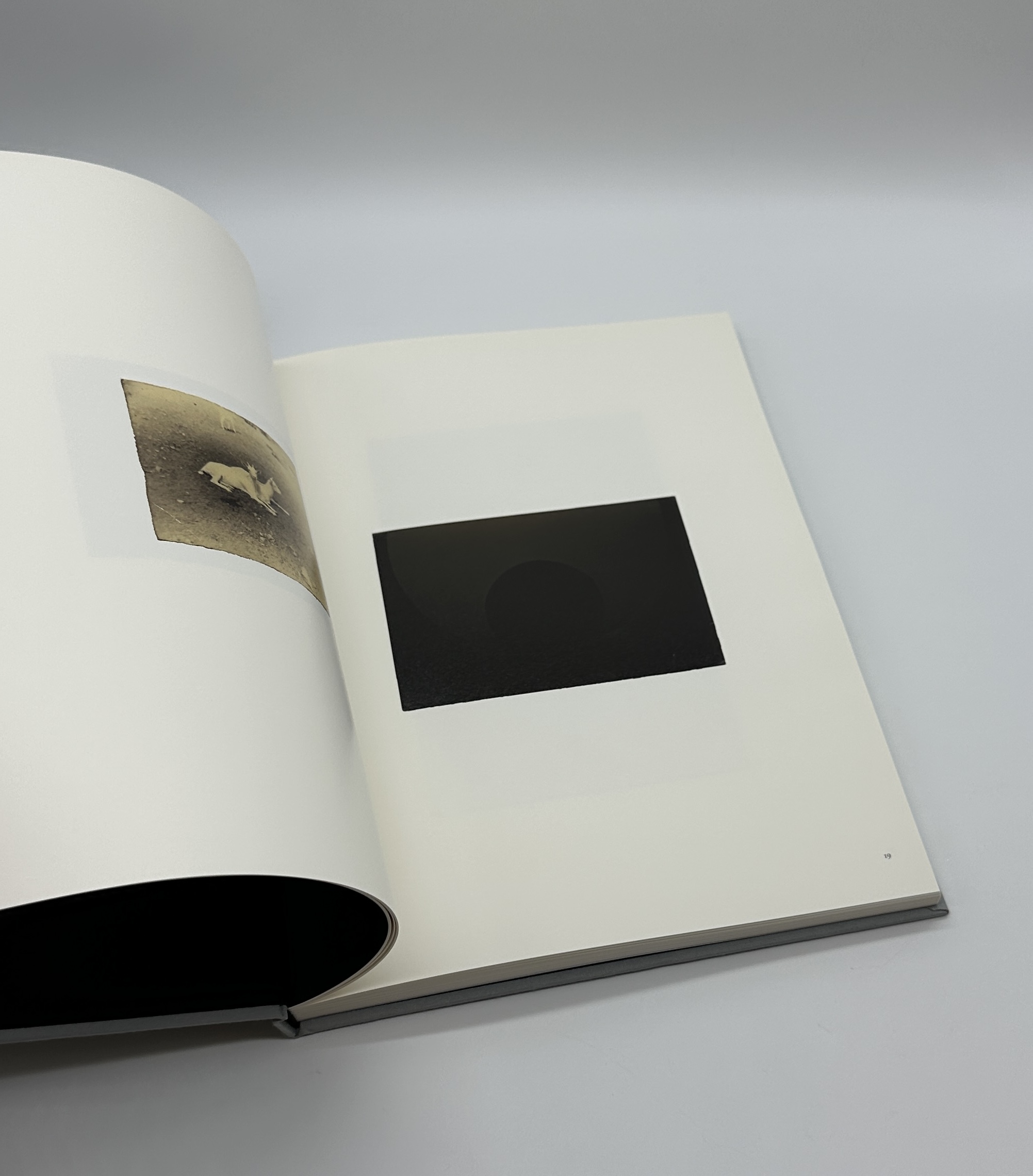 小さきもの、沈黙の中で - 画像 (3)