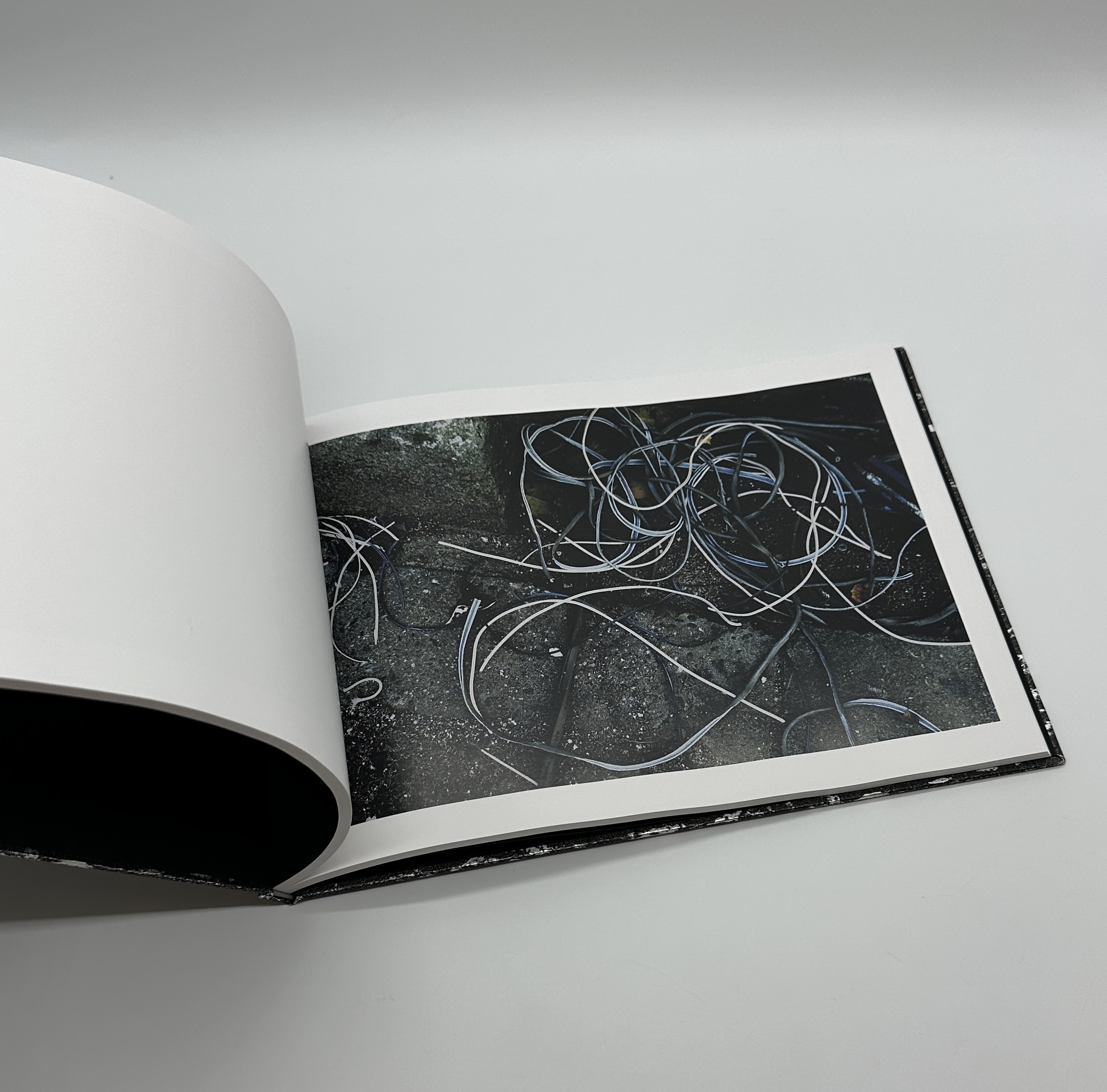 「署名入」意識 - 画像 (10)