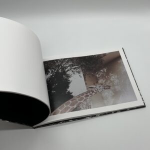 「署名入」意識 - 画像 (6)