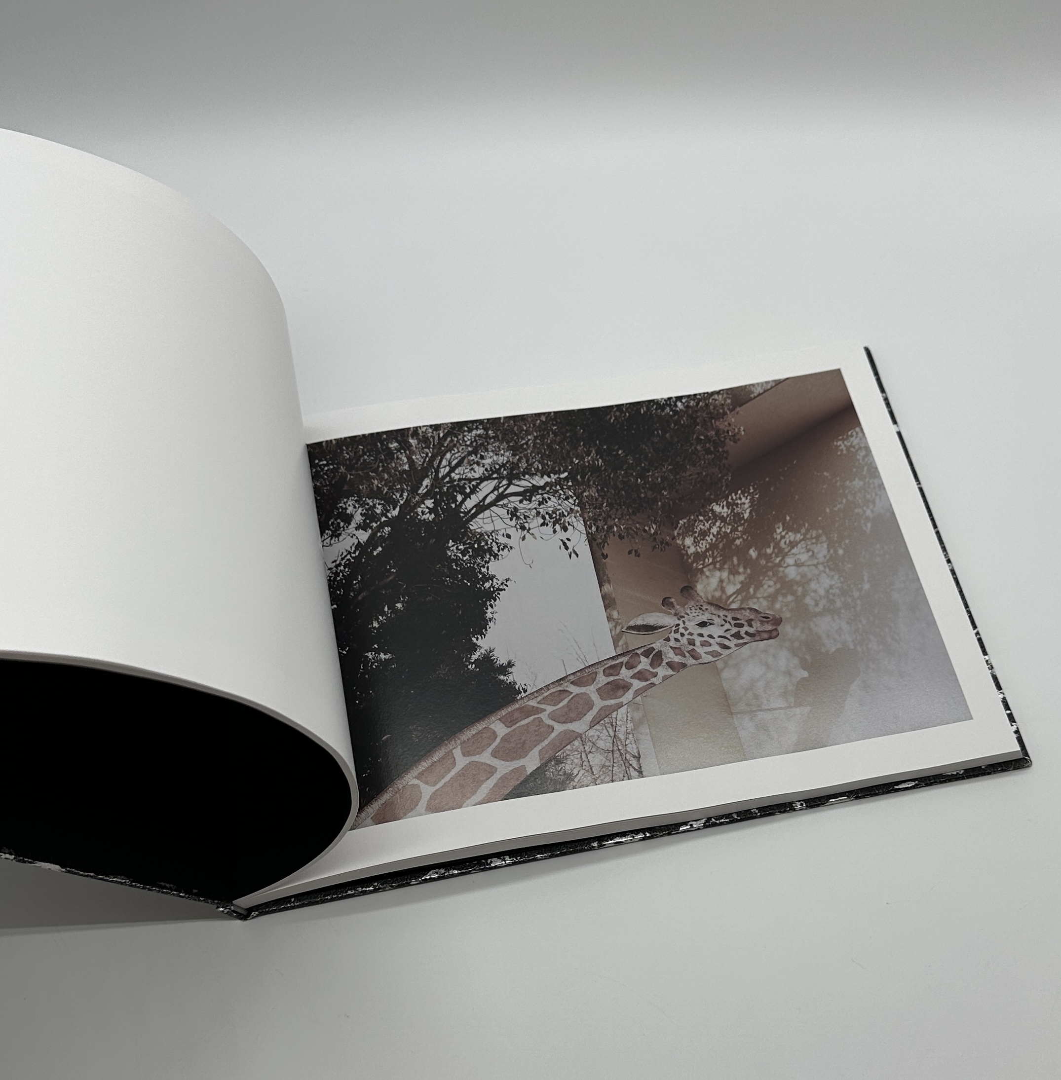 「署名入」意識 - 画像 (6)