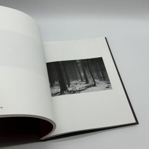 The Encounter - 画像 (7)