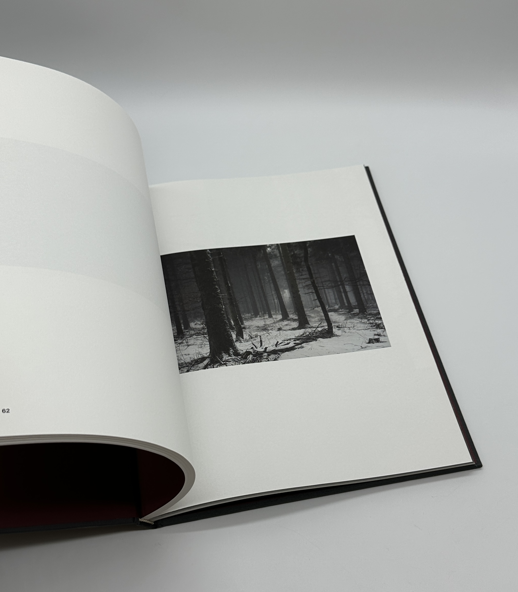 The Encounter - 画像 (7)