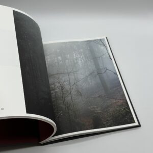 The Encounter - 画像 (6)