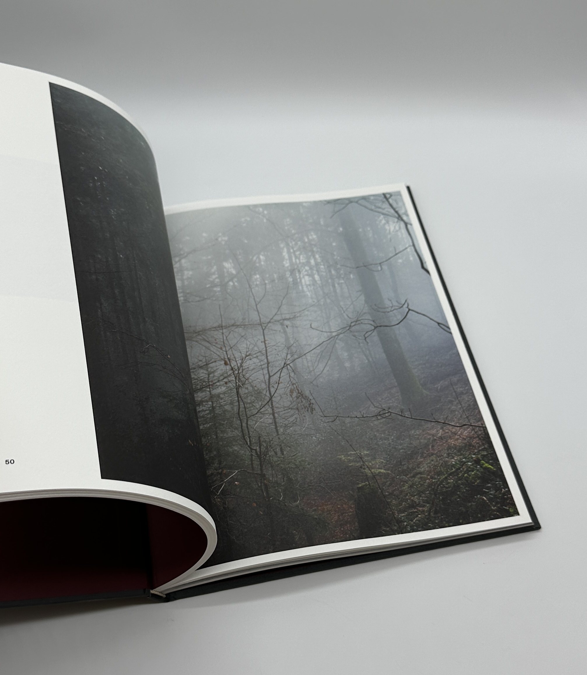 The Encounter - 画像 (6)