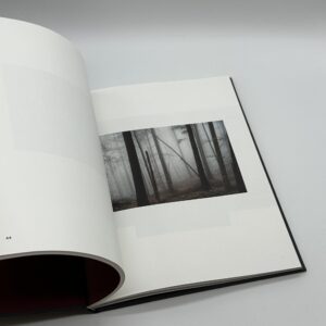 The Encounter - 画像 (5)