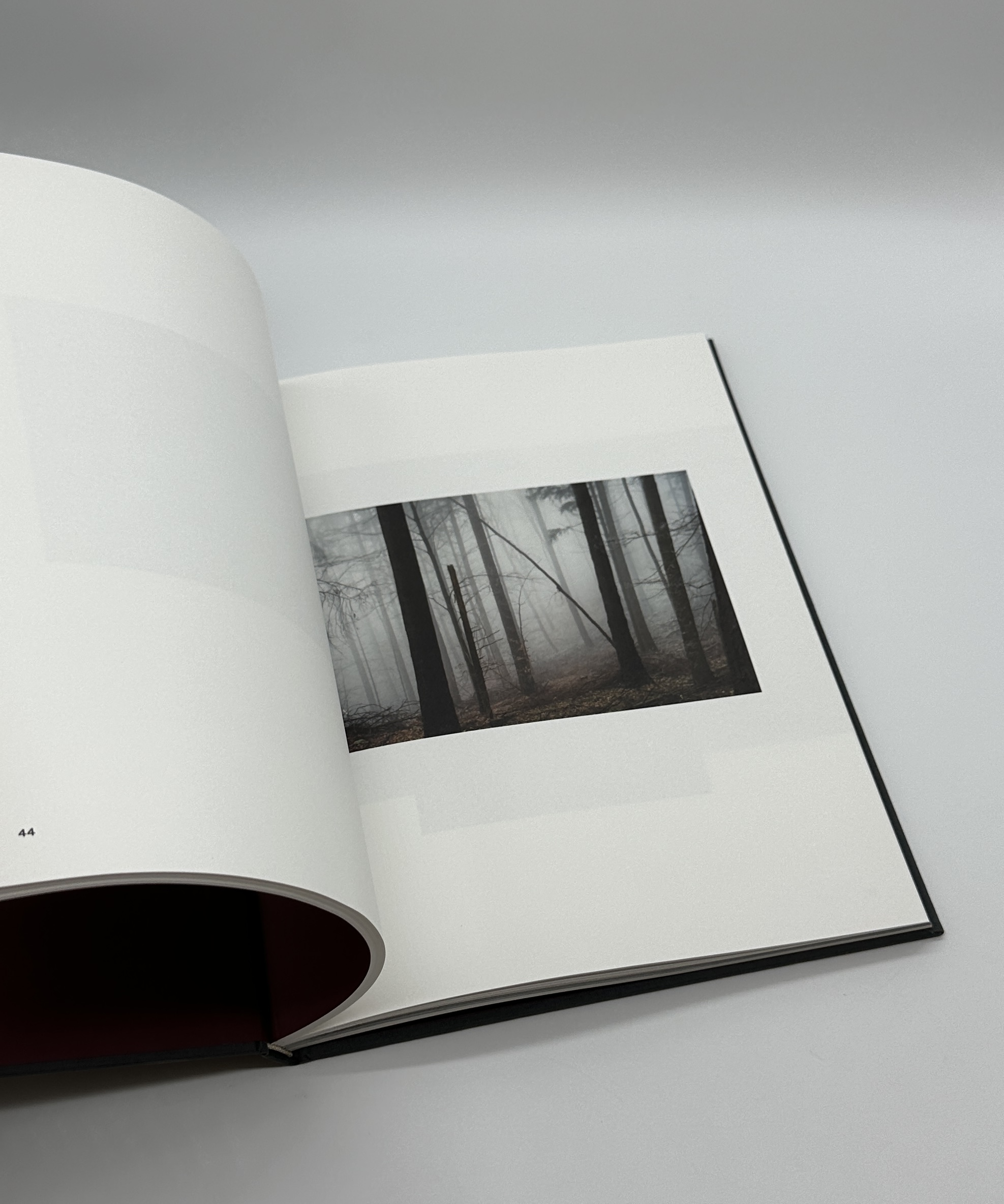 The Encounter - 画像 (5)