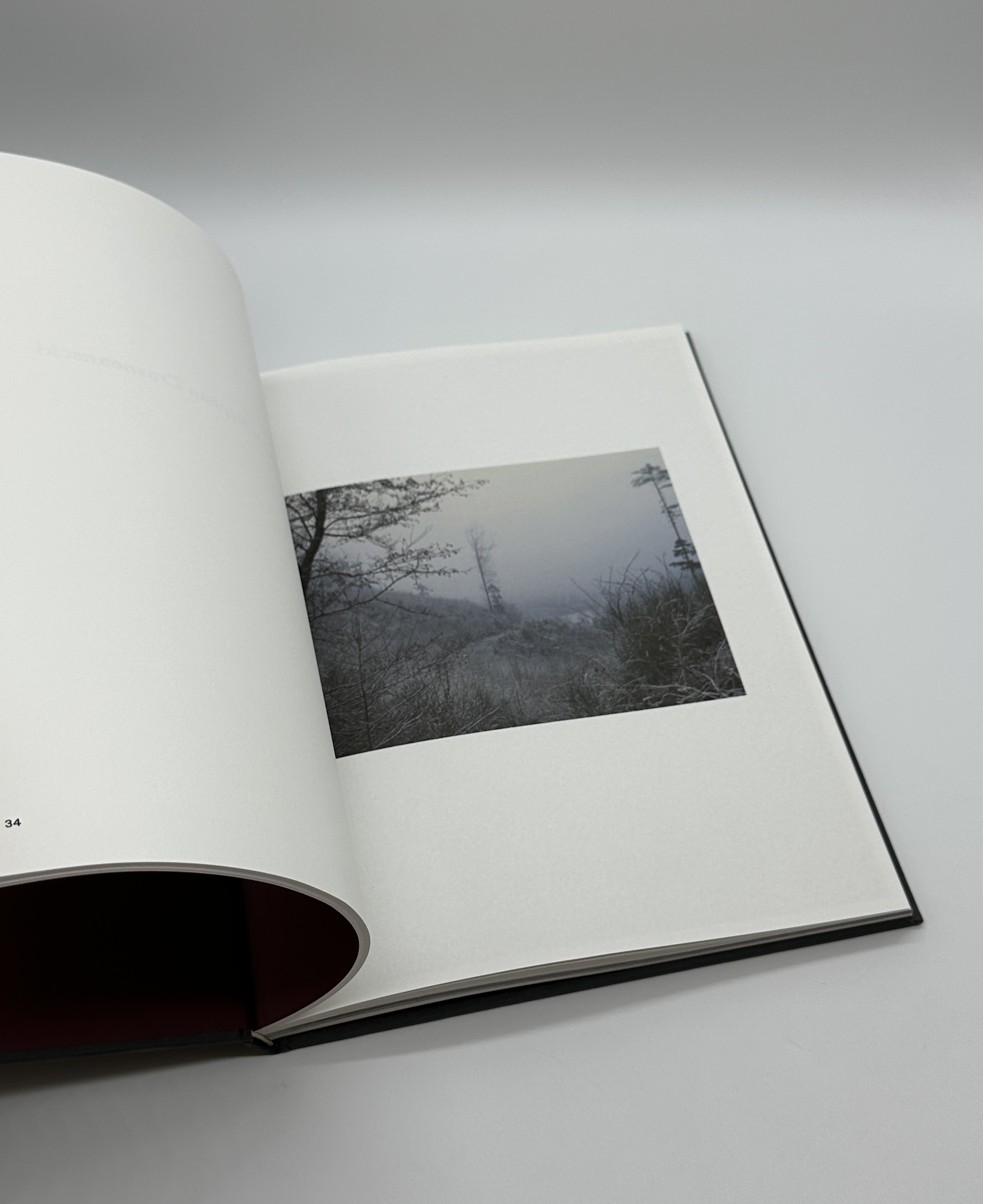 The Encounter - 画像 (4)