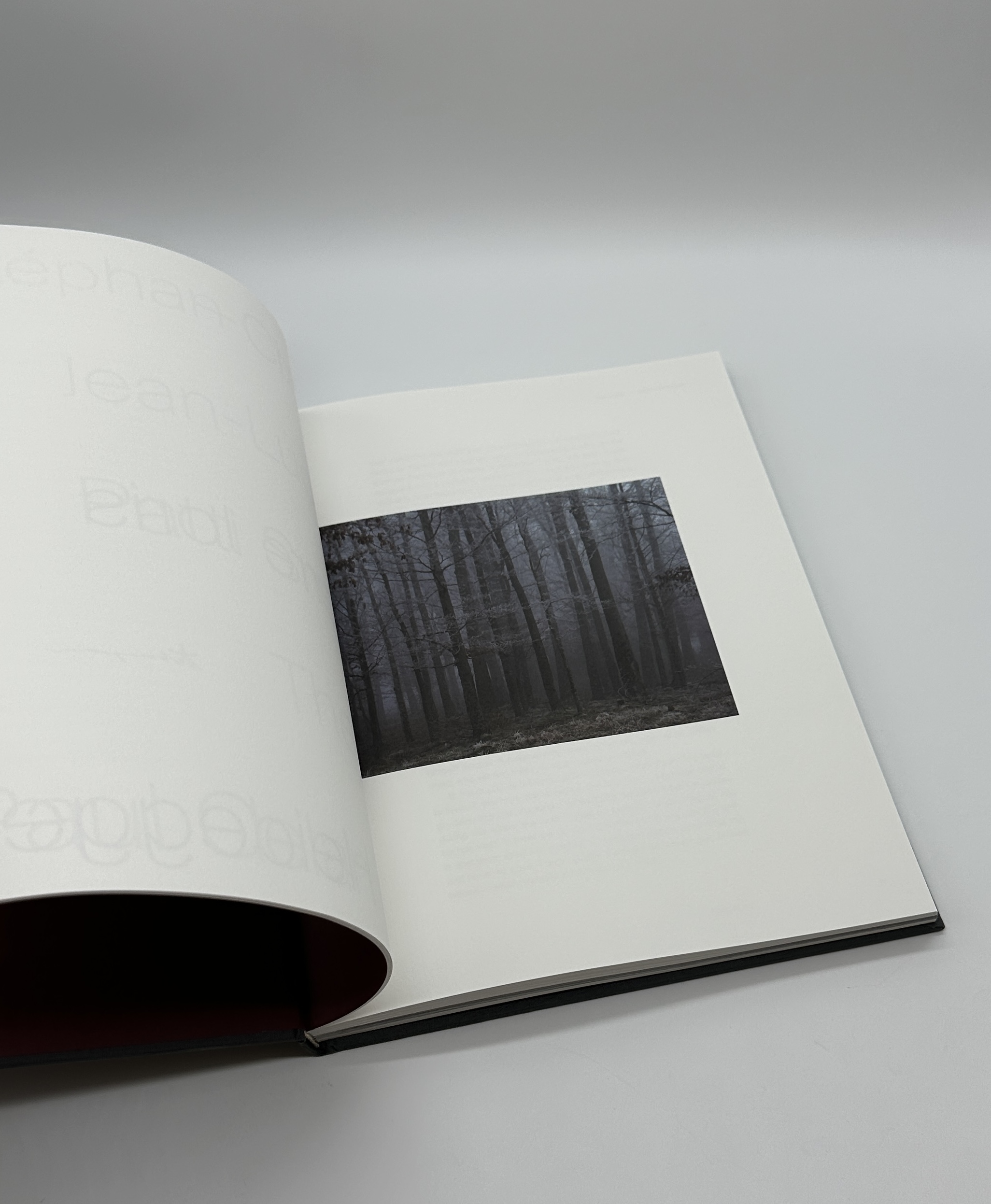 The Encounter - 画像 (3)