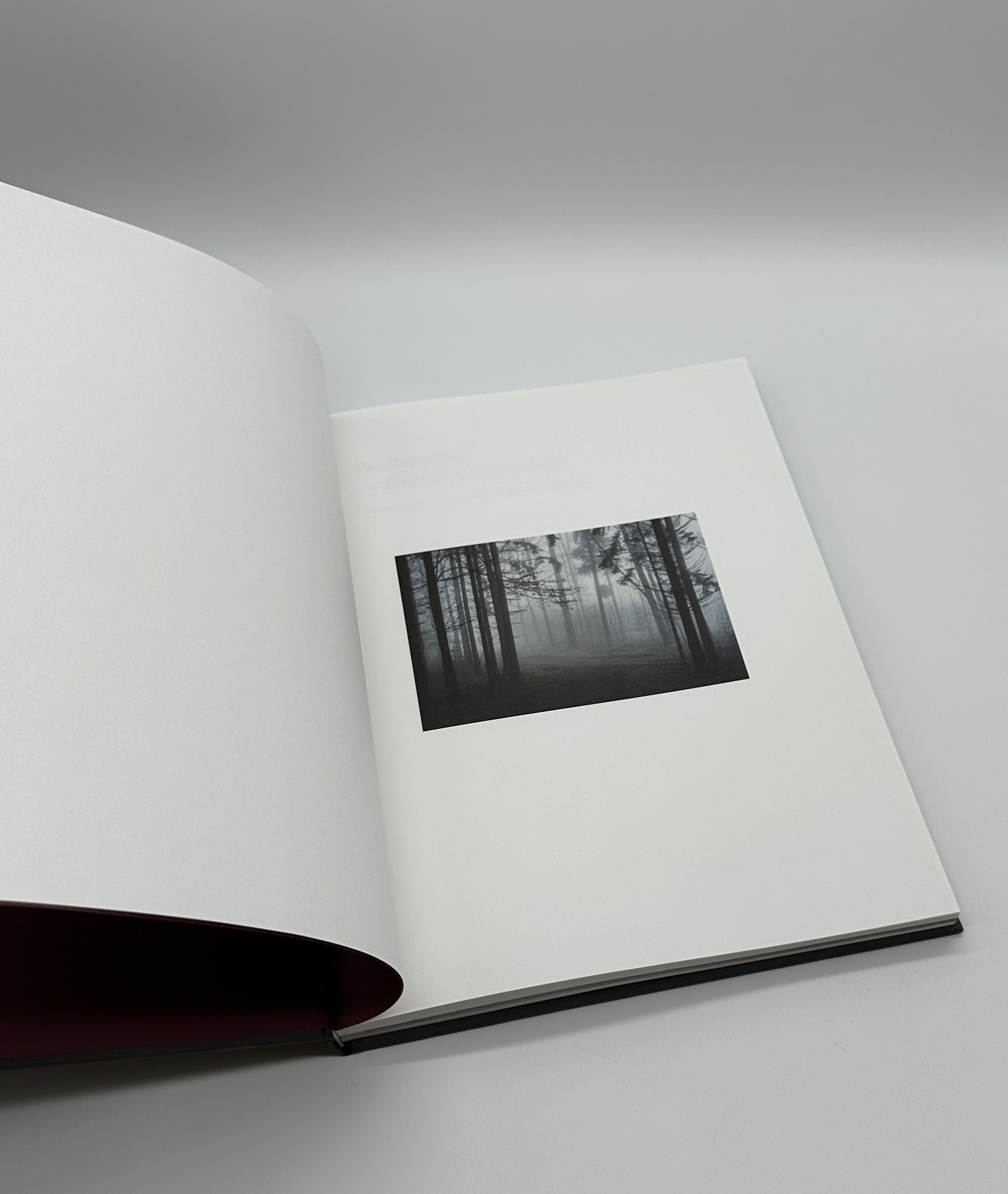 The Encounter - 画像 (2)