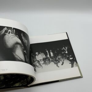 stray dog - 画像 (9)