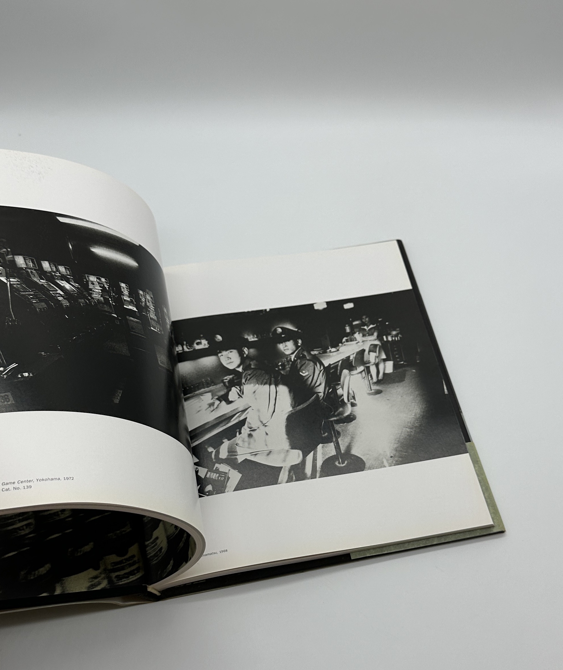 stray dog - 画像 (8)