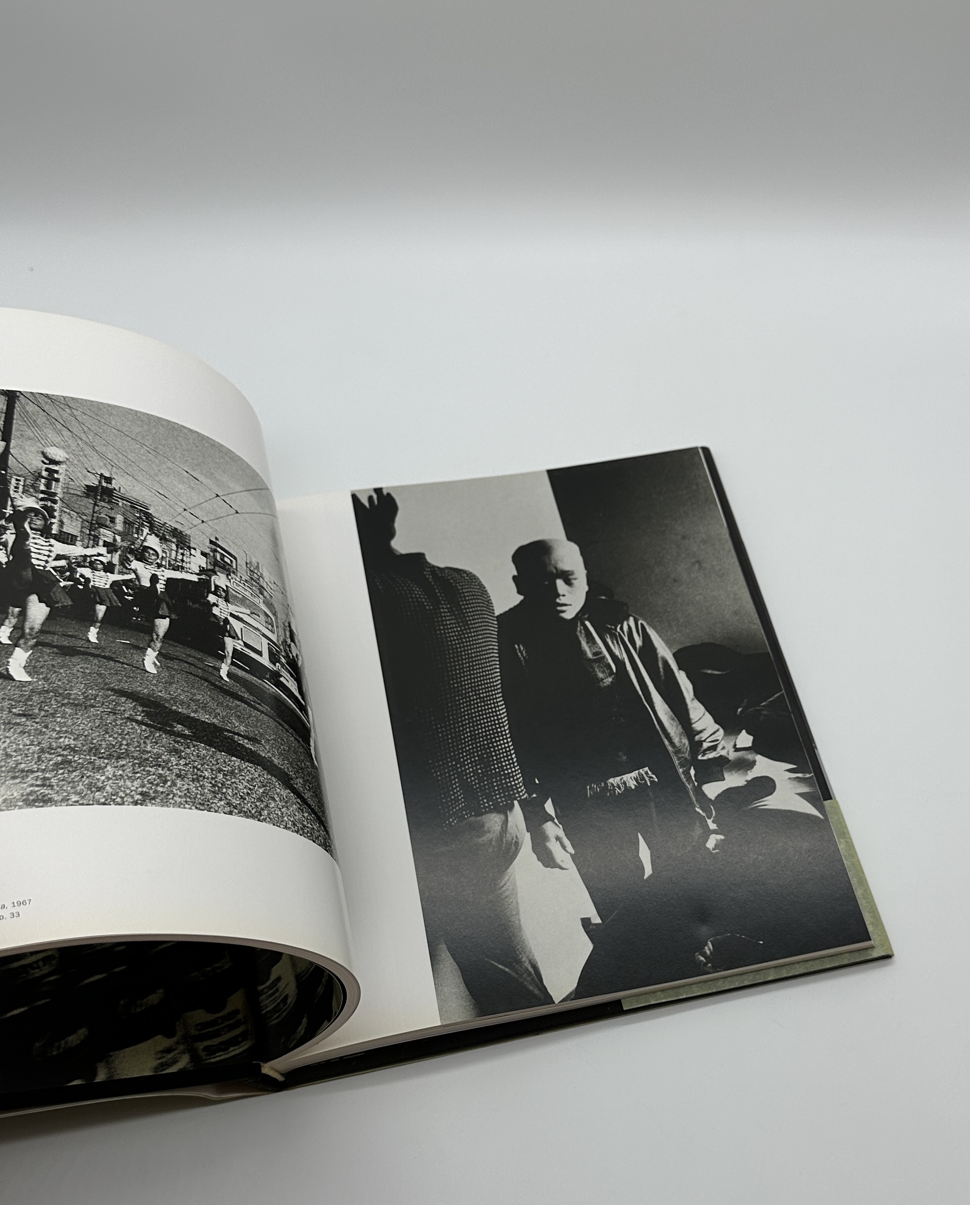 stray dog - 画像 (7)