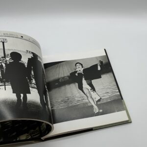 stray dog - 画像 (6)