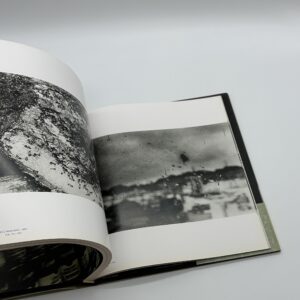 stray dog - 画像 (4)