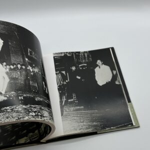 stray dog - 画像 (3)