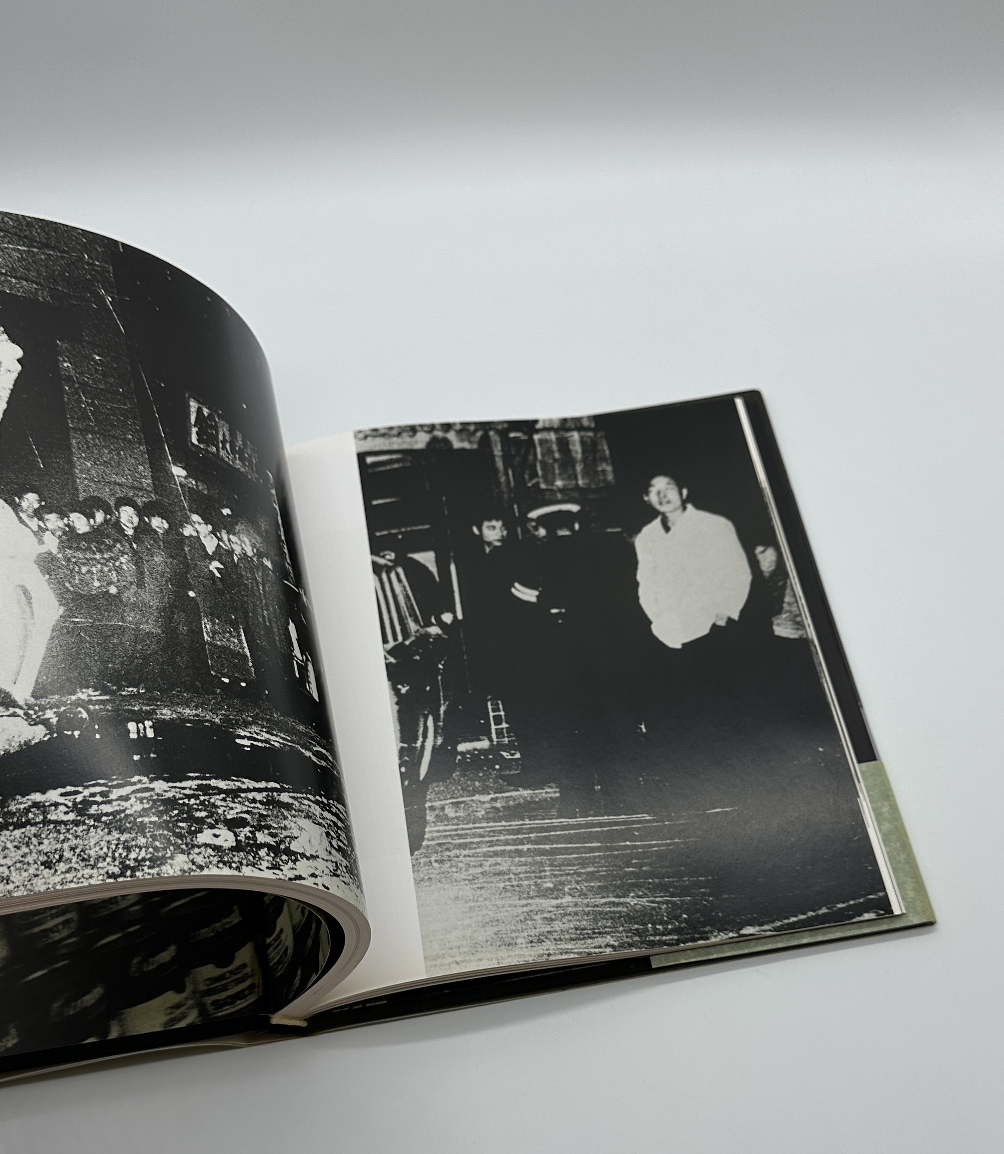 stray dog - 画像 (3)