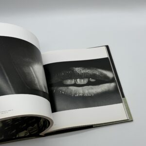 stray dog - 画像 (2)