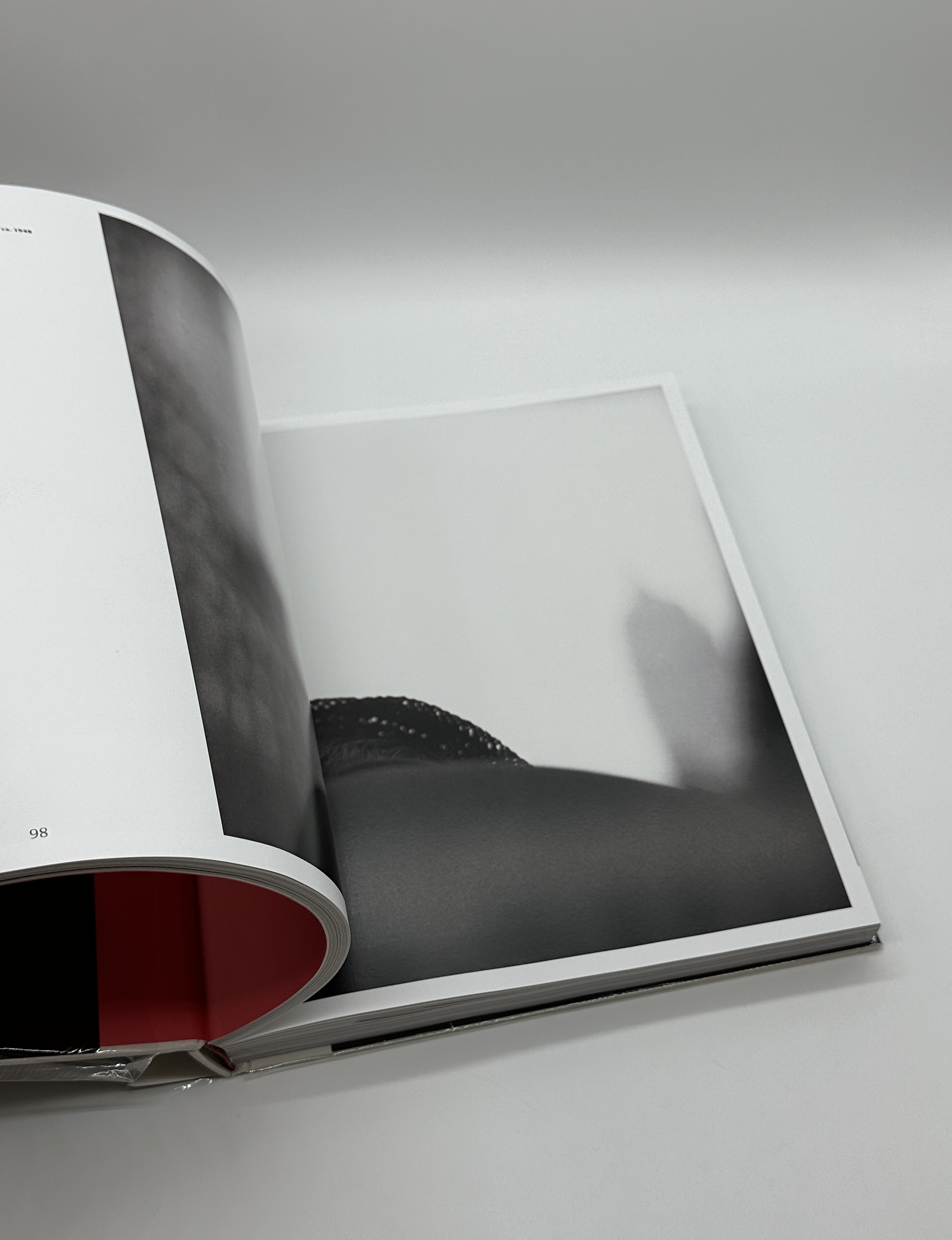 The Centennial Retrospective - 画像 (5)