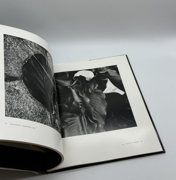 A Personal Selection