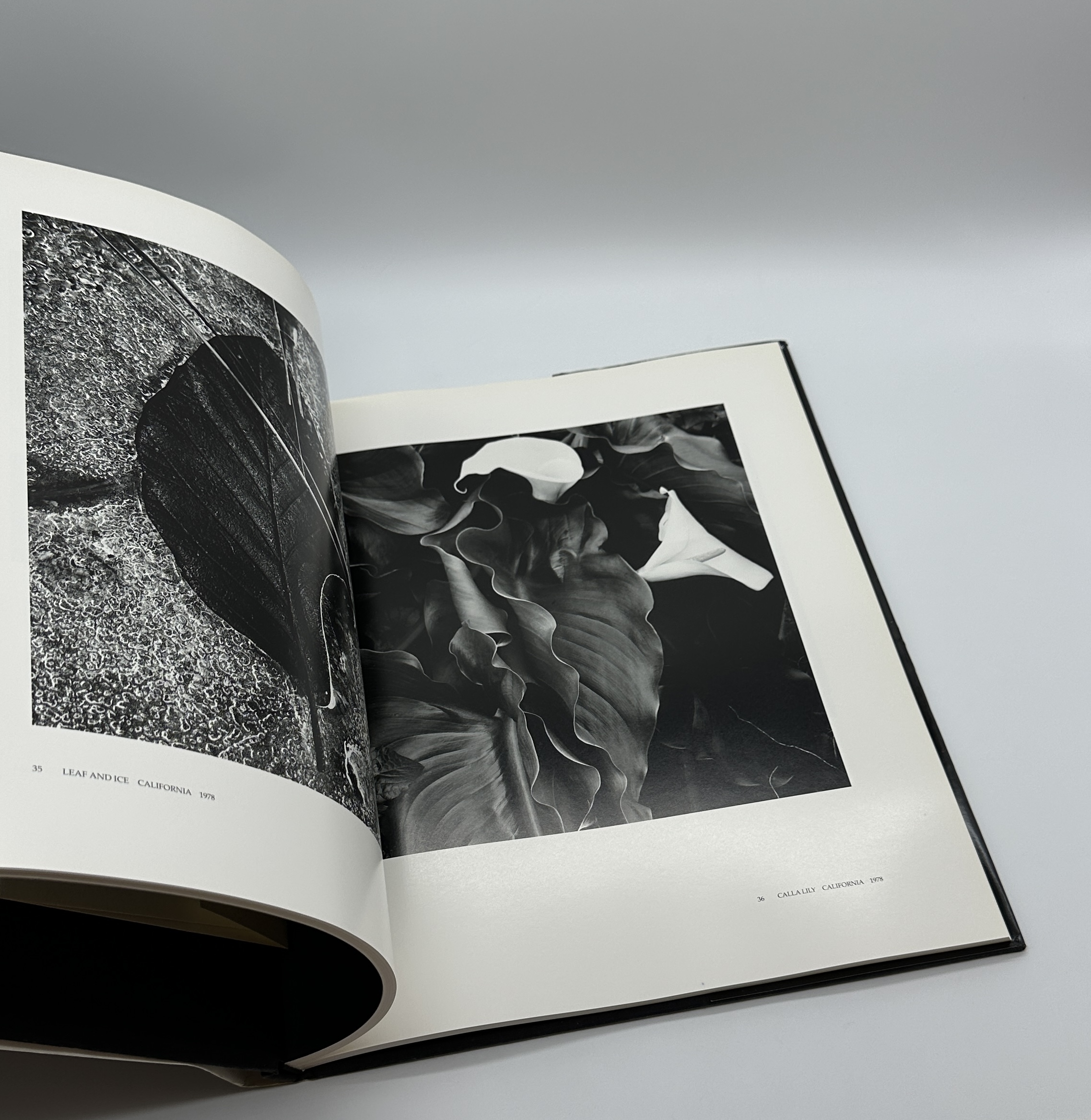 A Personal Selection - 画像 (8)