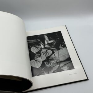 A Personal Selection - 画像 (7)