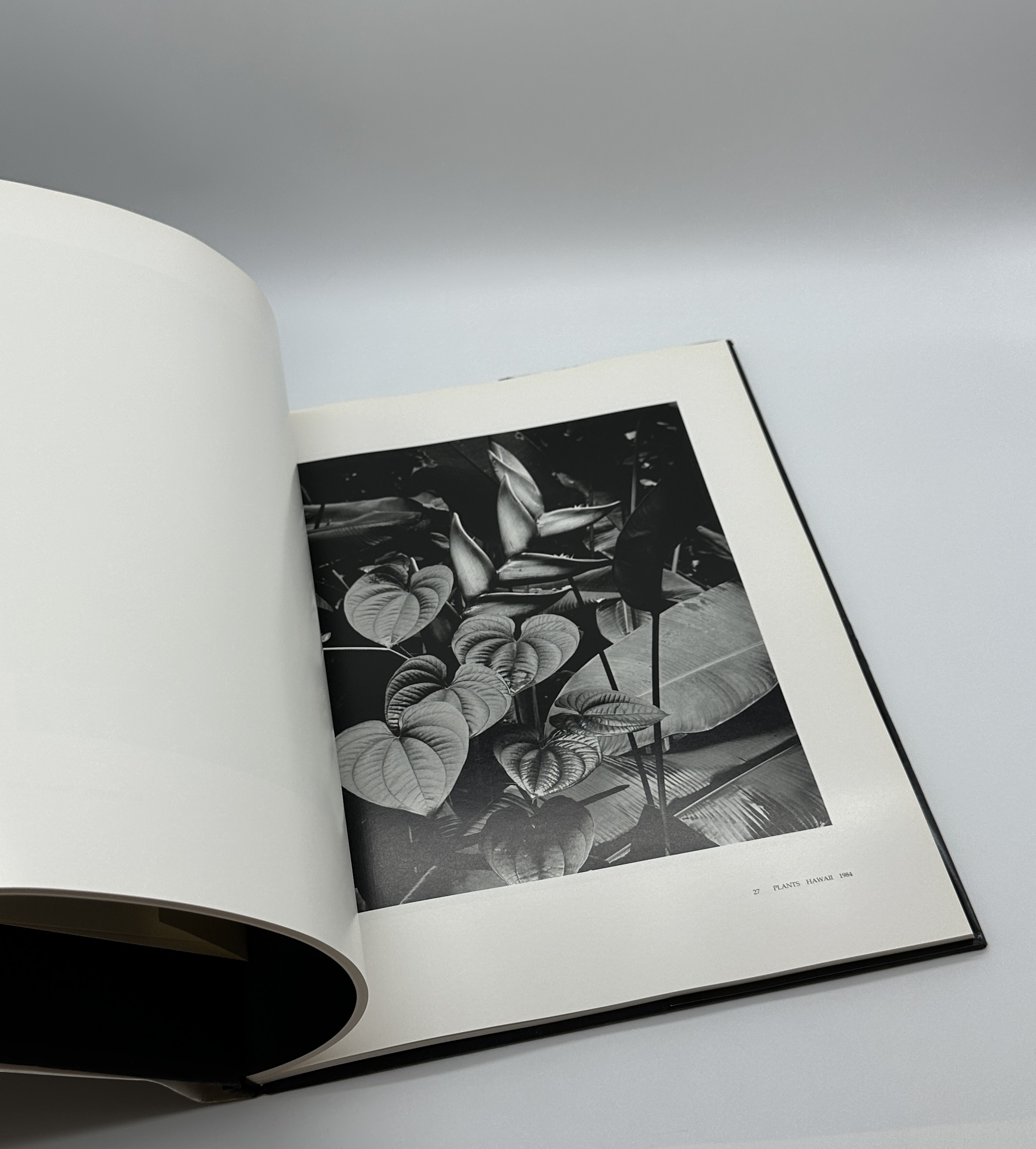 A Personal Selection - 画像 (7)