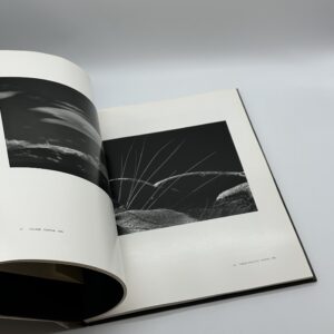 A Personal Selection - 画像 (6)