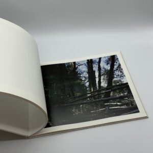 TOWARDS THE WOOD - 画像 (9)