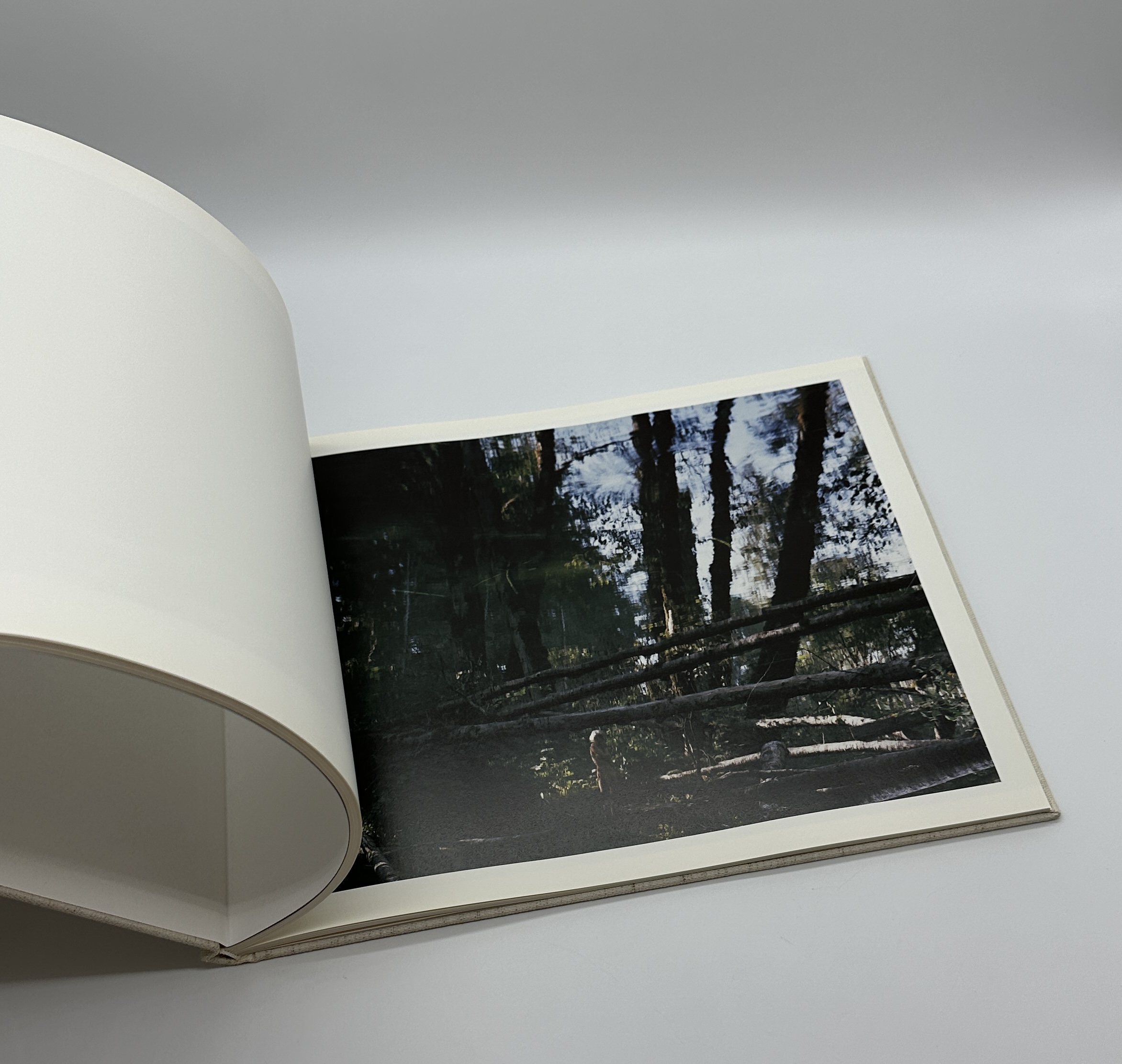 TOWARDS THE WOOD - 画像 (9)