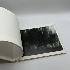 TOWARDS THE WOOD - 画像 (8)