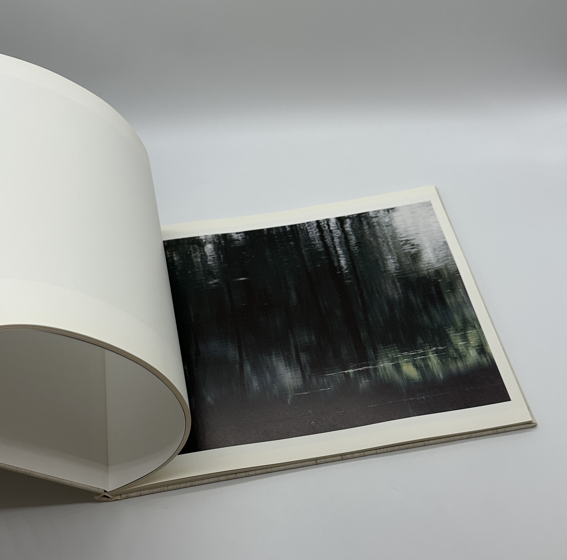 TOWARDS THE WOOD - 画像 (8)