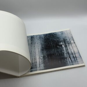 TOWARDS THE WOOD - 画像 (7)