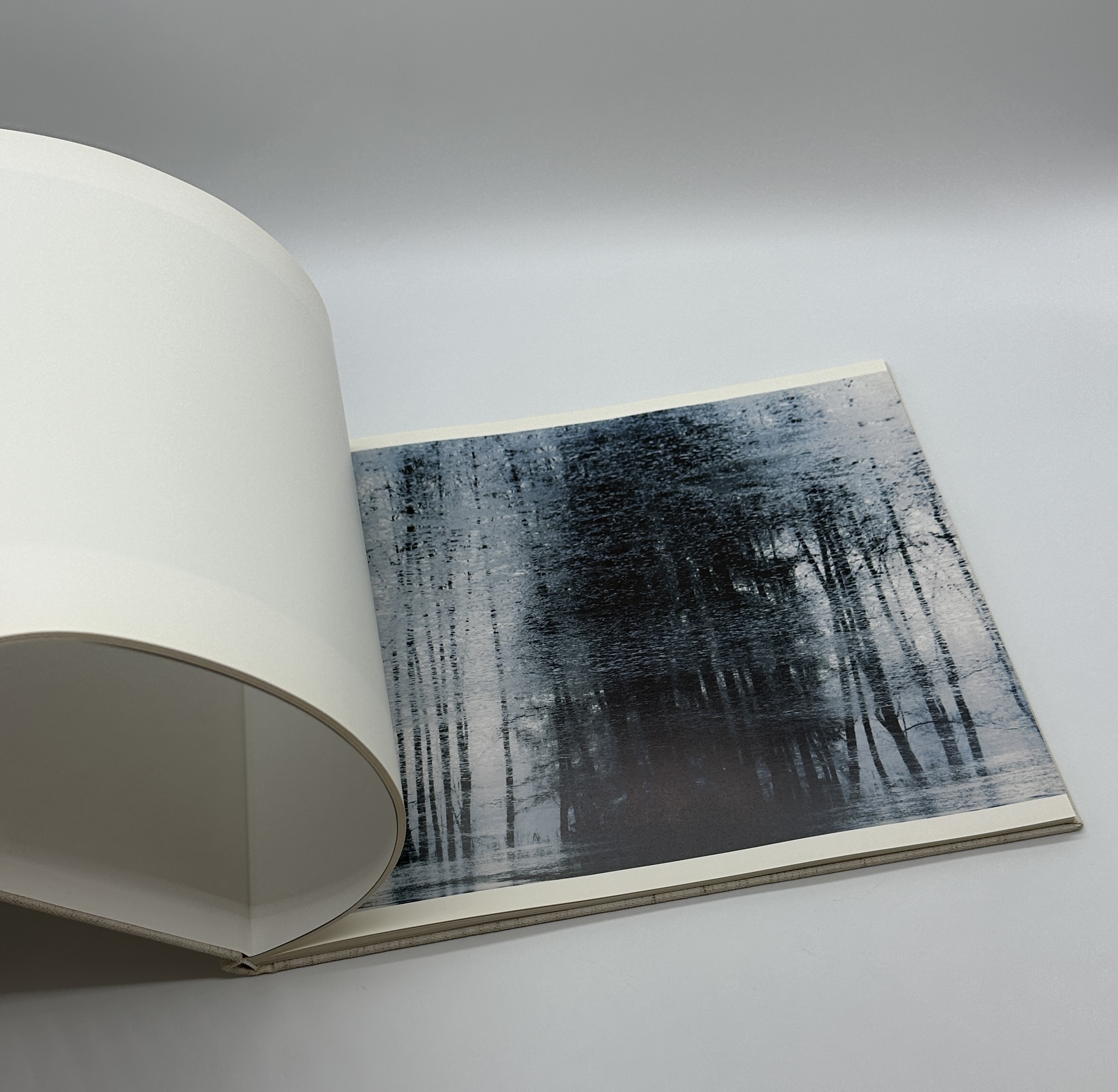 TOWARDS THE WOOD - 画像 (7)