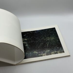 TOWARDS THE WOOD - 画像 (6)