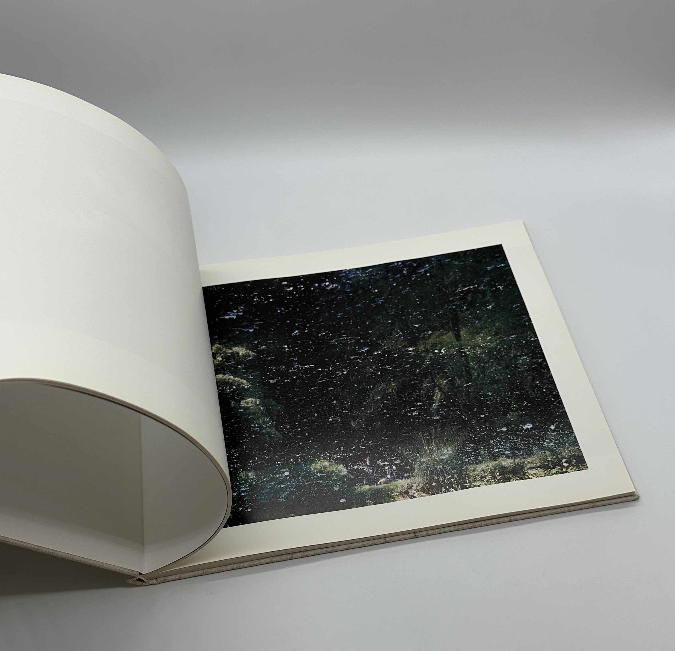 TOWARDS THE WOOD - 画像 (6)