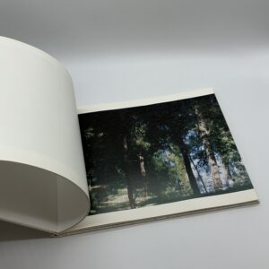 TOWARDS THE WOOD - 画像 (5)