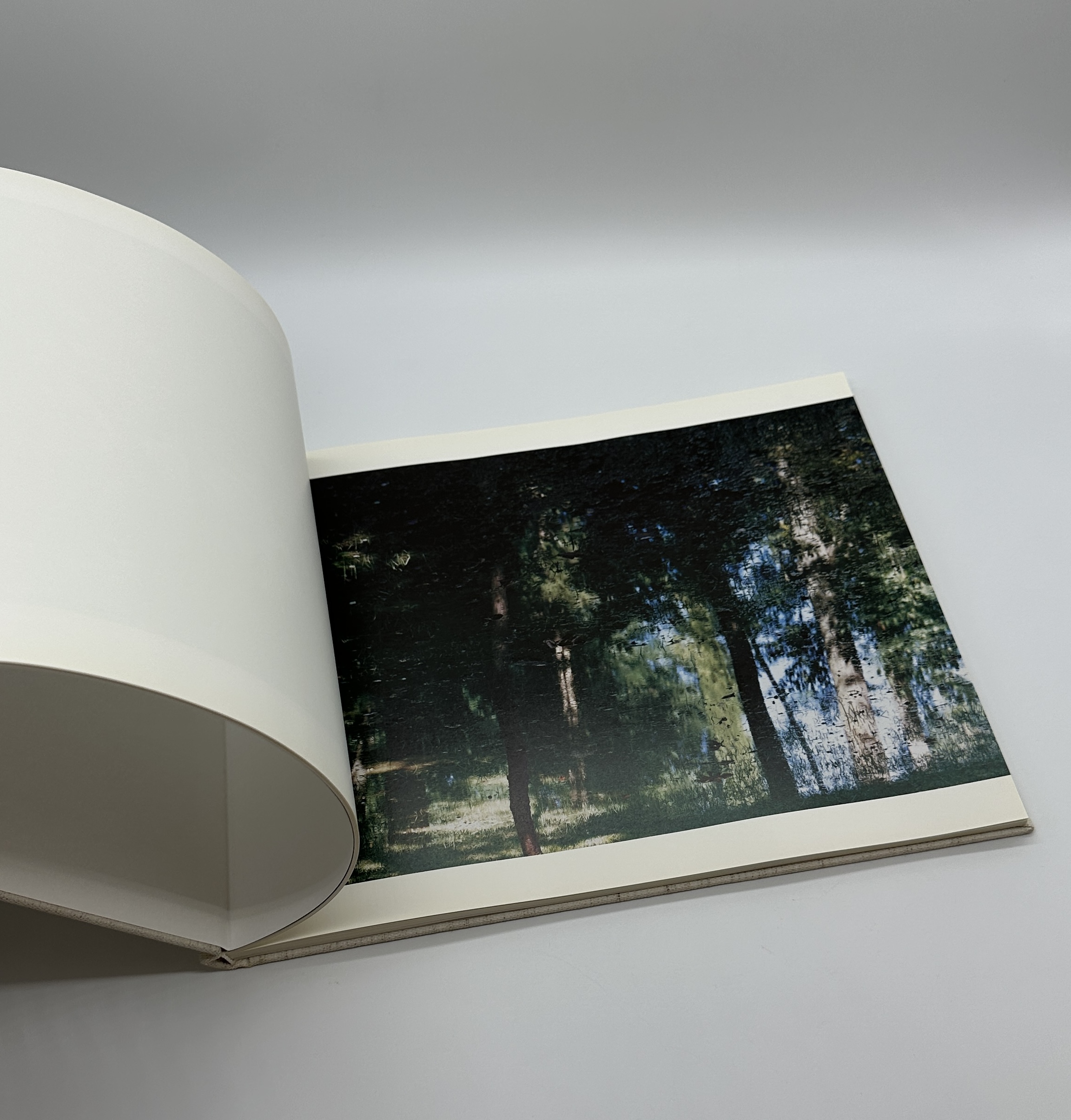 TOWARDS THE WOOD - 画像 (5)