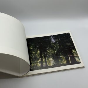 TOWARDS THE WOOD - 画像 (4)