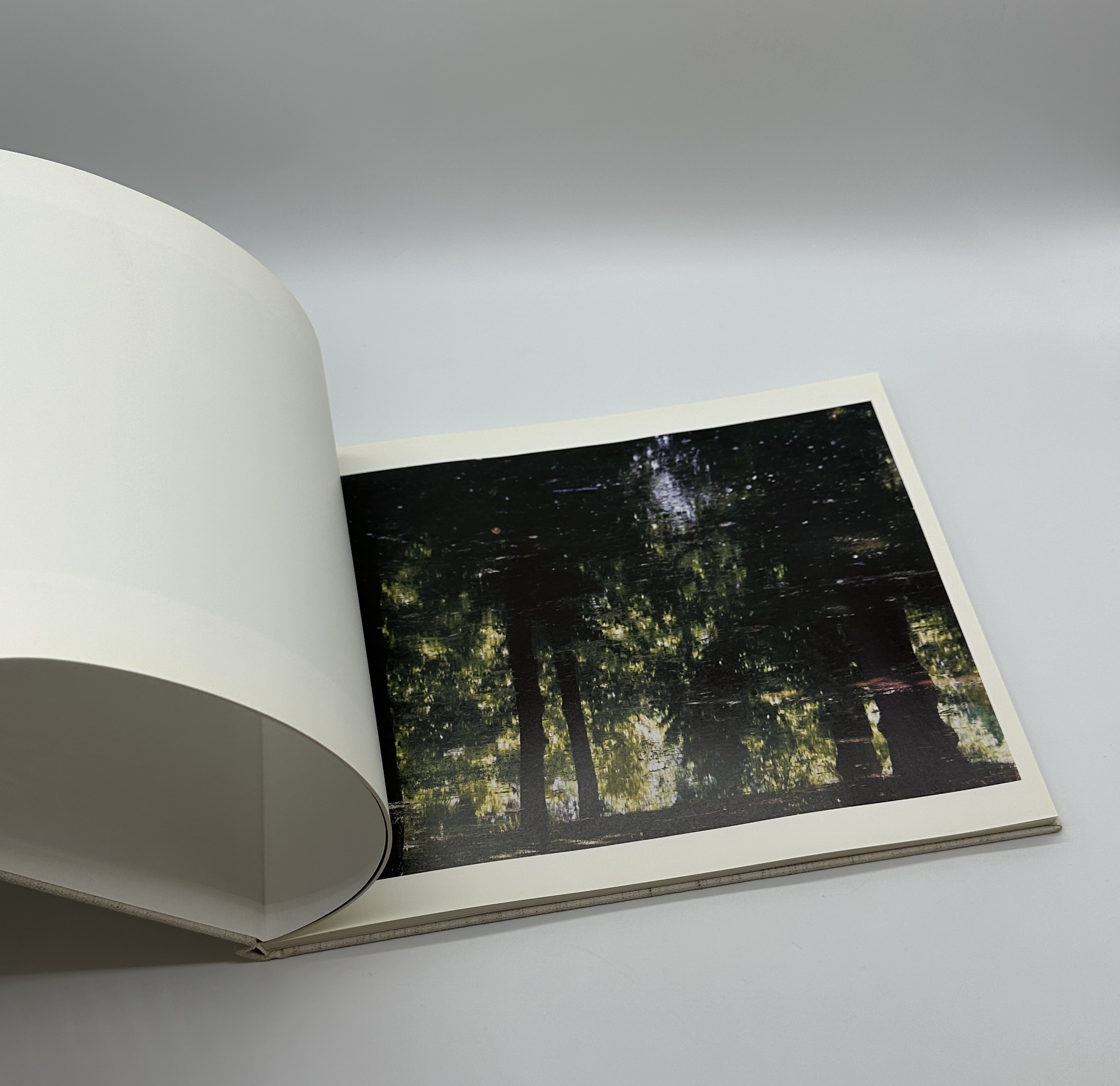 TOWARDS THE WOOD - 画像 (4)